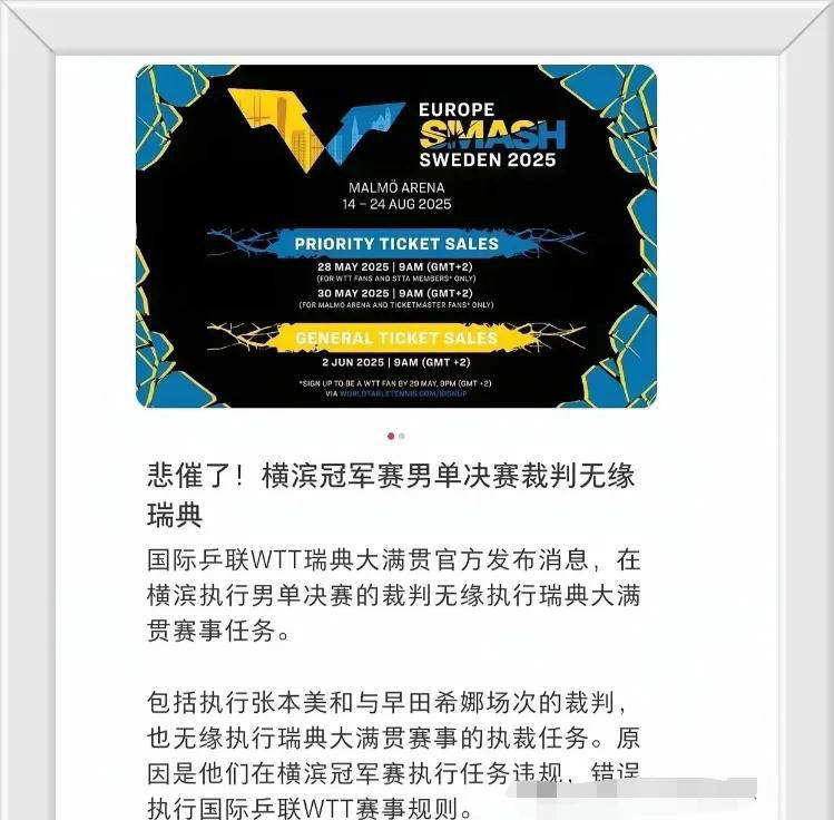 监督职责, 王楚钦若希